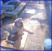 Превью фото № 187813