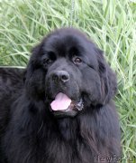 Превью фото № 187820