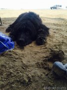 Превью фото № 187888