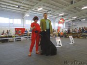 Превью фото № 188006