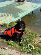 Превью фото № 188029