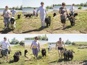 Превью фото № 188191