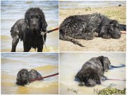 Превью фото № 188195