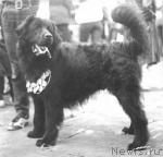 Превью фото № 1883