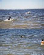 Превью фото № 188315