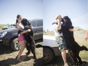 Превью фото № 188320