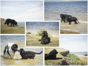 Превью фото № 188326