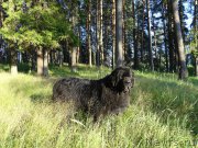 Превью фото № 188448