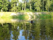 Превью фото № 188450