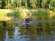 Превью фото № 188451