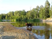 Превью фото № 188452