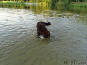 Превью фото № 188454