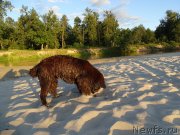 Превью фото № 188456