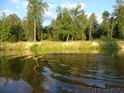 Превью фото № 188461