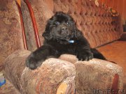 Превью фото № 188463