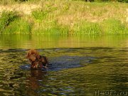 Превью фото № 188464