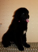 Превью фото № 188499