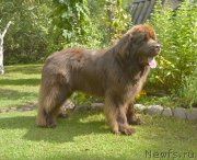 Превью фото № 188519