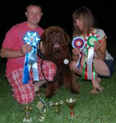 Превью фото № 188521