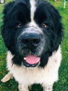 Превью фото № 188537