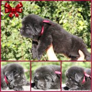 Превью фото № 188574