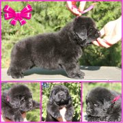 Превью фото № 188576