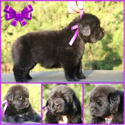 Превью фото № 188579