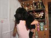 Превью фото № 188583