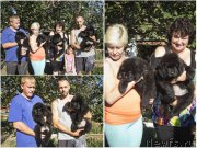 Превью фото № 188668