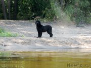 Превью фото № 188736