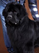 Превью фото № 188742