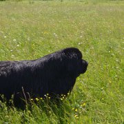 Превью фото № 188809