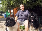 Превью фото № 188811