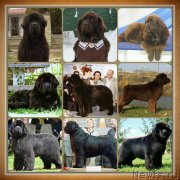 Превью фото № 188836