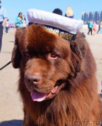 Превью фото № 188883