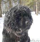 Превью фото № 1889