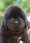 Превью фото № 188904