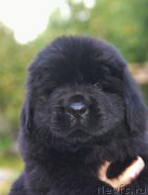 Превью фото № 188913