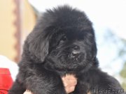 Превью фото № 188926