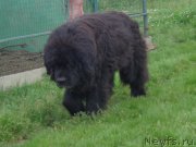 Превью фото № 188935