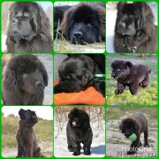 Превью фото № 189067