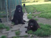 Превью фото № 189080