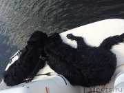 Превью фото № 189091