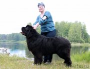 Превью фото № 189094