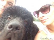 Превью фото № 189168