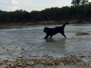 Превью фото № 189169