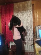 Превью фото № 189176