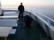 Превью фото № 189193