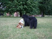 Превью фото № 189195