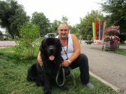 Превью фото № 189222